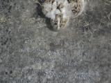 image of grave number 972987